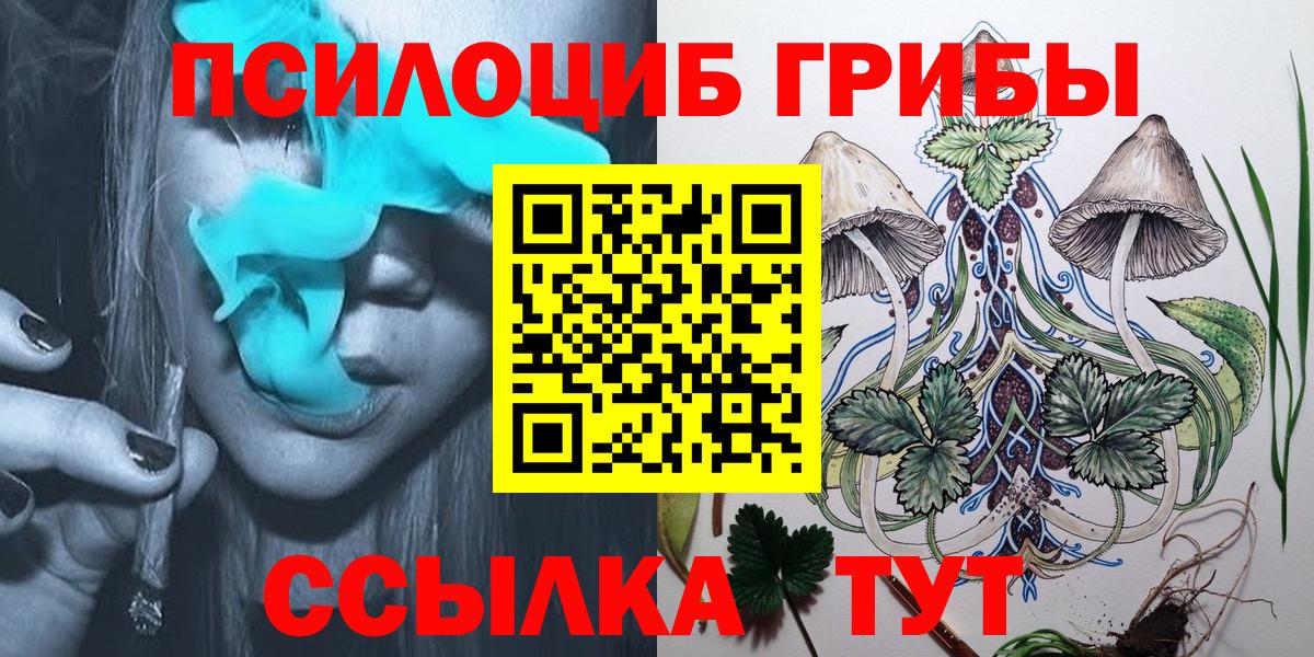 Асино  Псилоцибиновые грибы GOLDEN TEACHER  Вход с VPN 