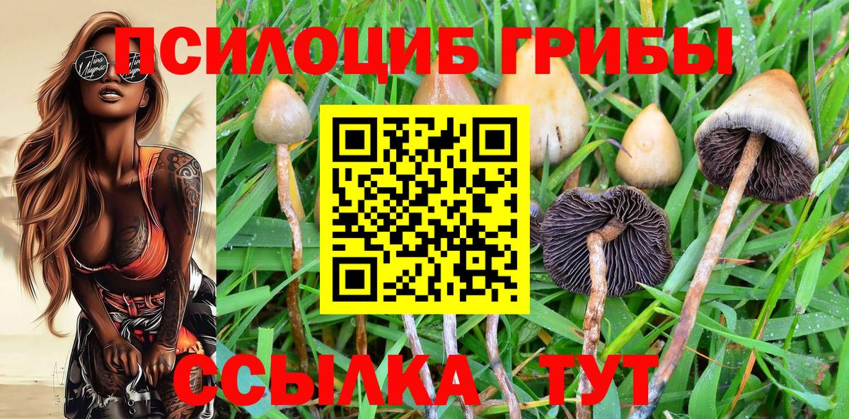 Галлюциногенные грибы MAGIC MUSHROOMS Асино